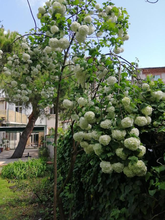 Chambre D'Hotes Pmr Hildegarde Moissac Esterno foto